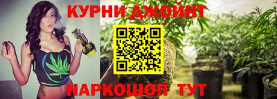 ешки Дубна