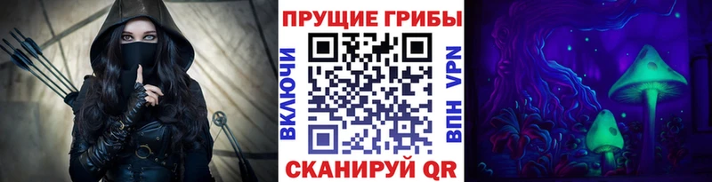KRAKEN ссылка  Ливны  Псилоцибиновые грибы MAGIC MUSHROOMS 