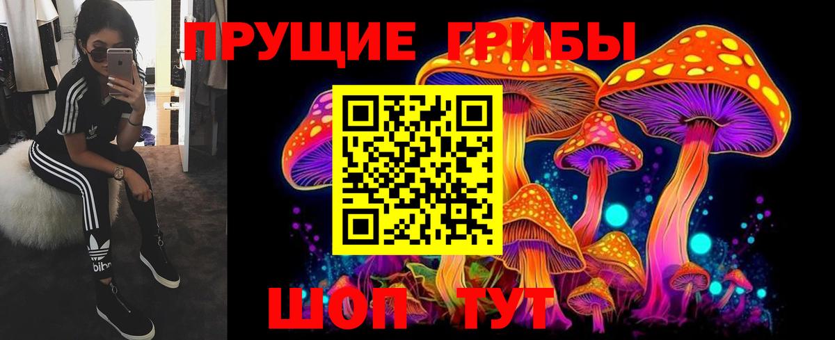 Псилоцибиновые грибы мицелий Ливны