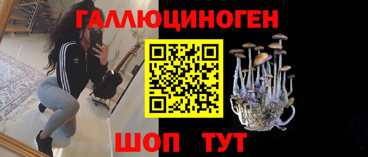 Ливны  Галлюциногенные грибы мицелий  Вход с VPN  Псилоцибиновые грибы Psilocybine cubensis 